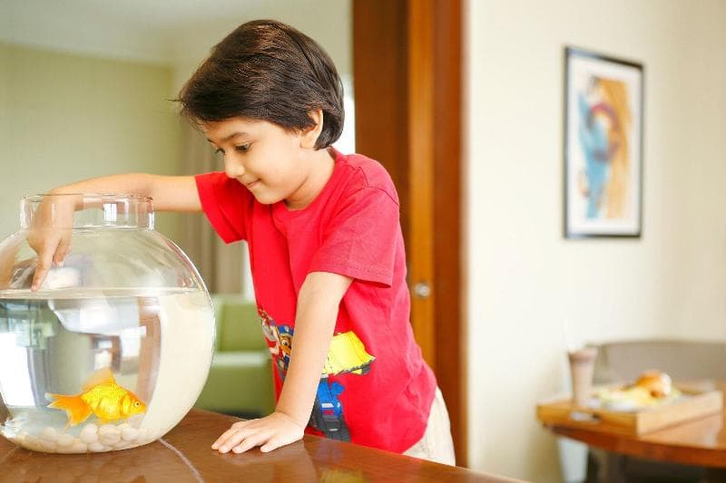 The Westin Pune Koregaon Park 2