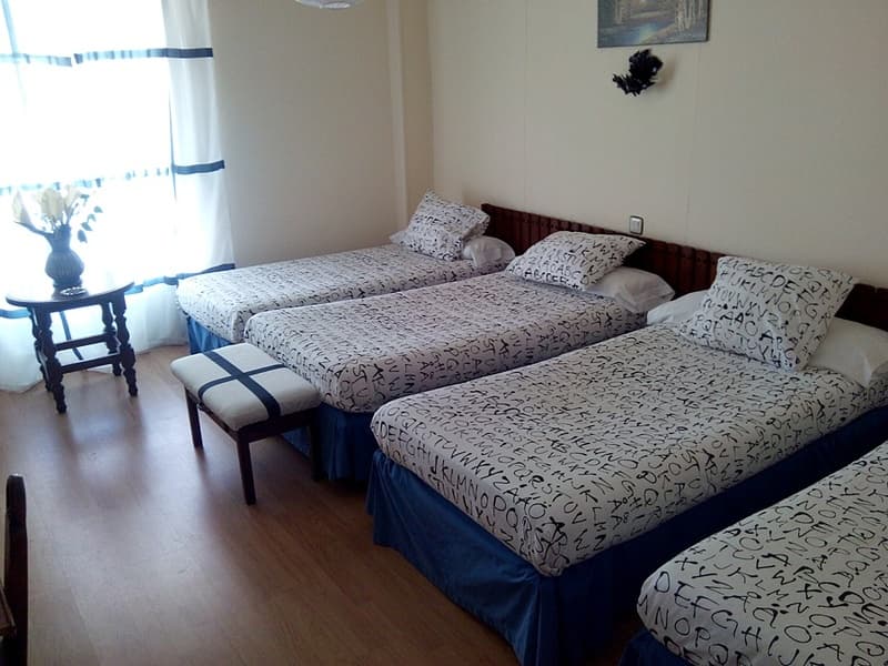 Nuevo Hotel Vista Alegre 3
