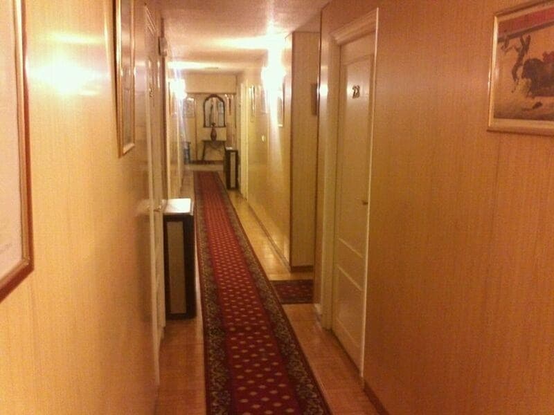 Nuevo Hotel Vista Alegre 4