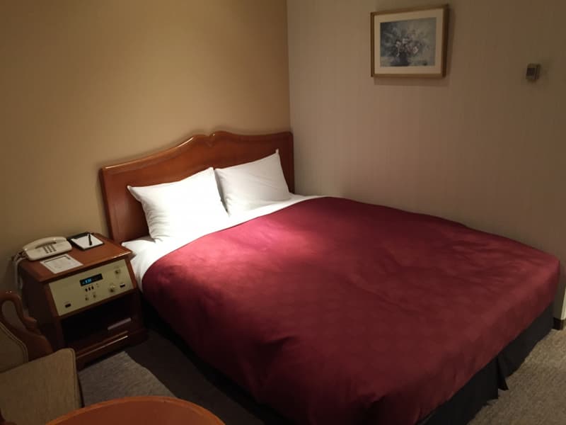 Narita Gateway Hotel 4