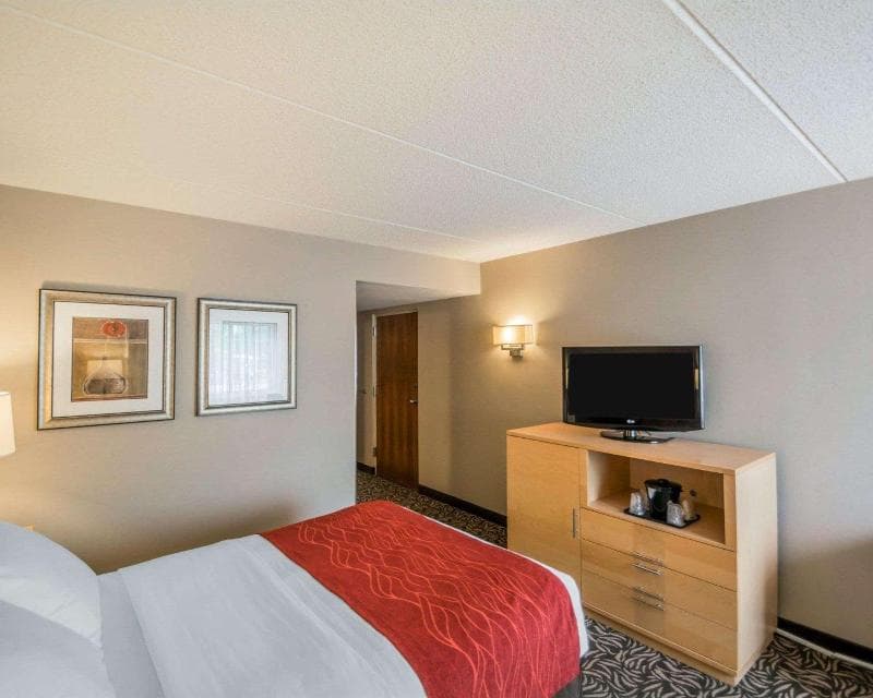 Comfort Inn Fairgrounds 5