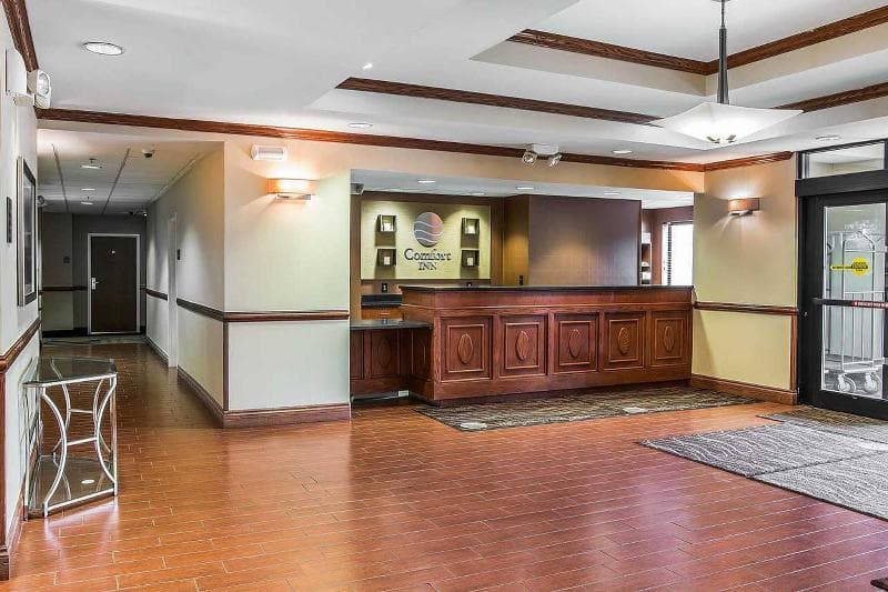 Comfort Inn & Suites University South 3