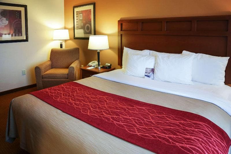 Comfort Inn & Suites 3