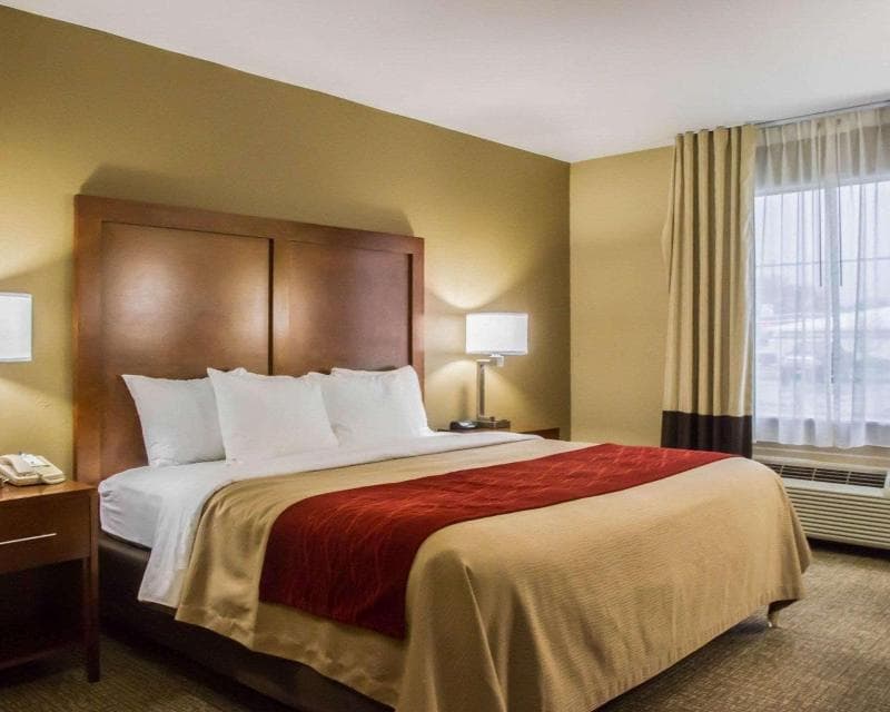 Best Western Morgan City Inn 3