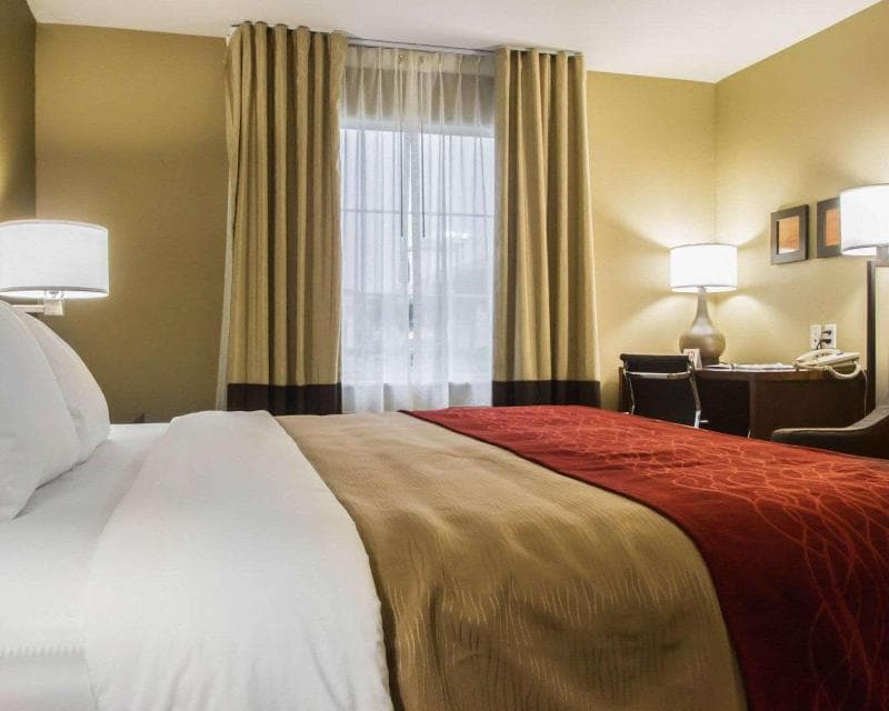 Best Western Morgan City Inn 4