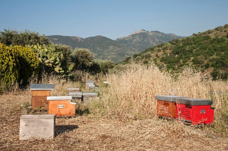 Azienda Agrituristica Bergi 3