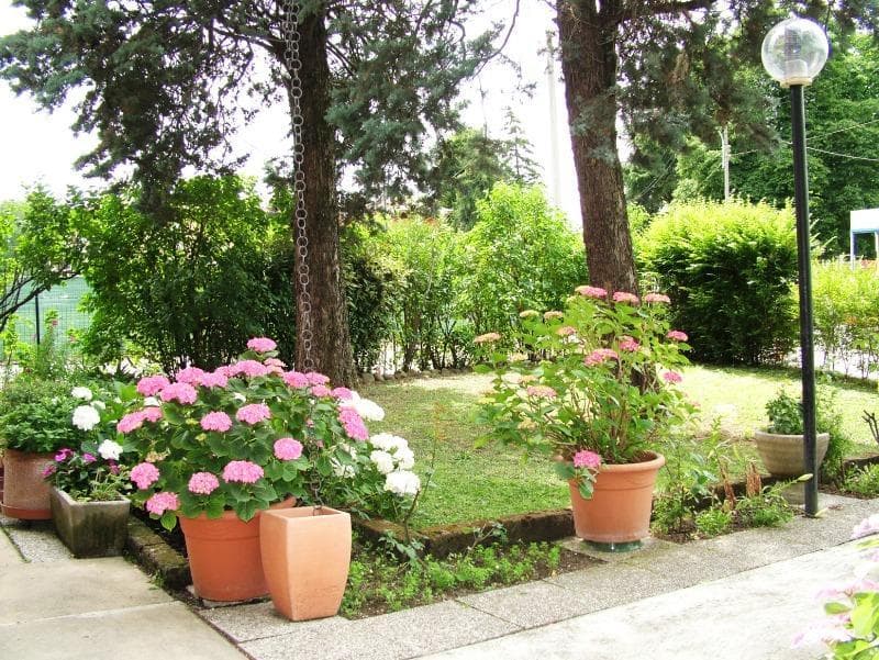 Tuscolano 4