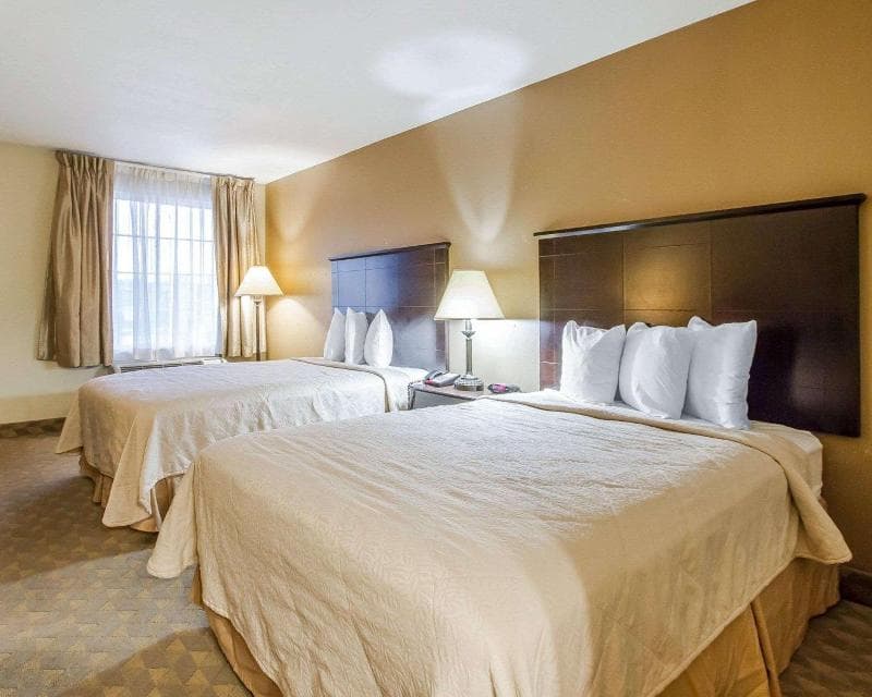 Quality Inn & Suites Greenville 4