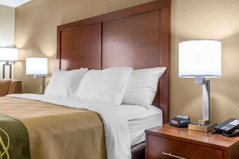Comfort Inn Collinsville 3