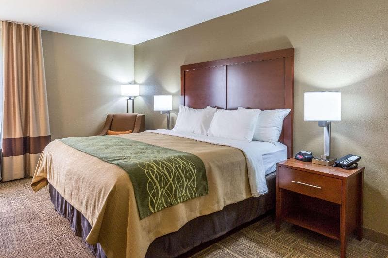 Comfort Inn Collinsville 5