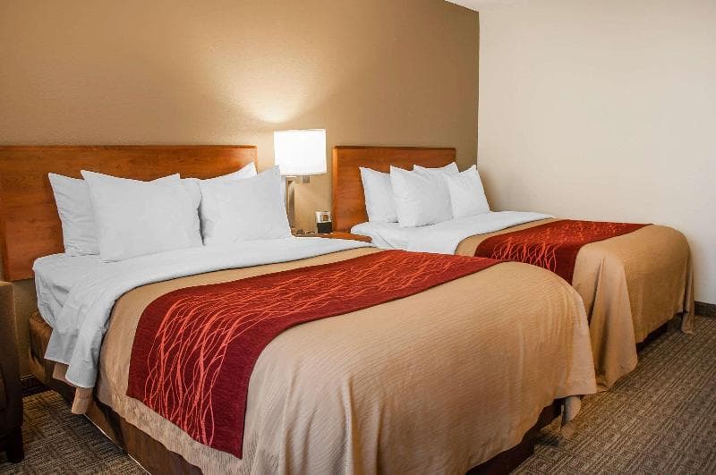 Comfort Inn 3