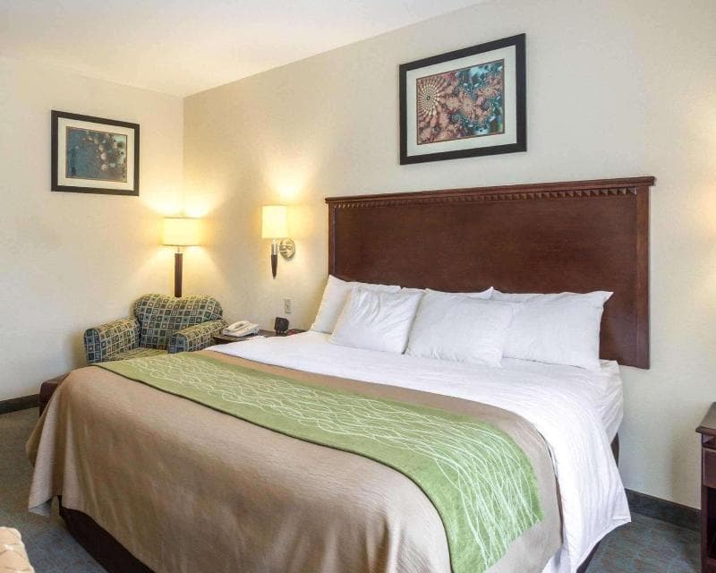Quality Inn Donaldsonville - Gonzales photo 1