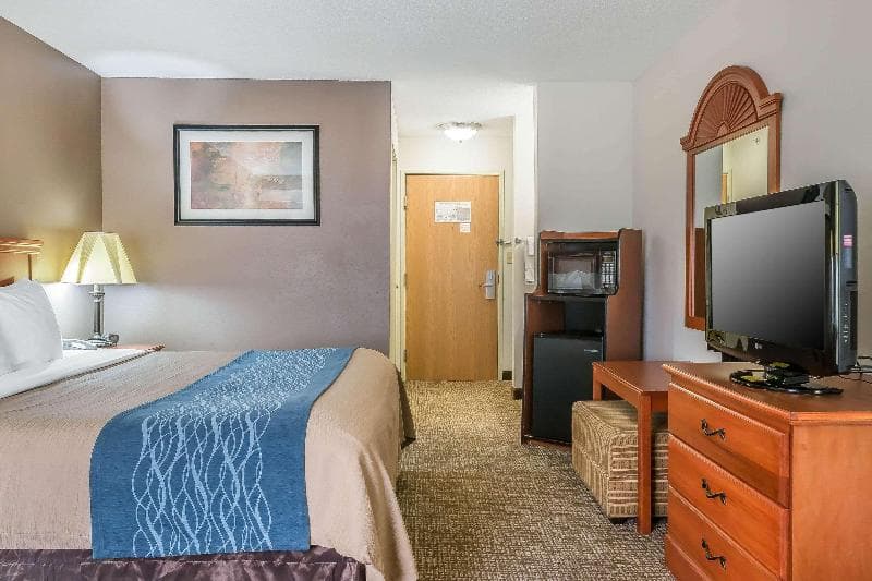 Comfort Inn Kalamazoo Area 3
