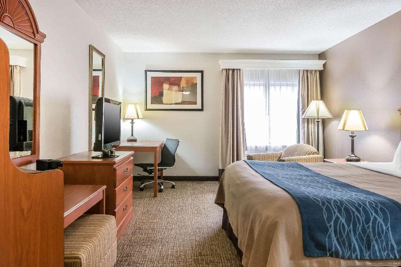 Comfort Inn Kalamazoo Area 4