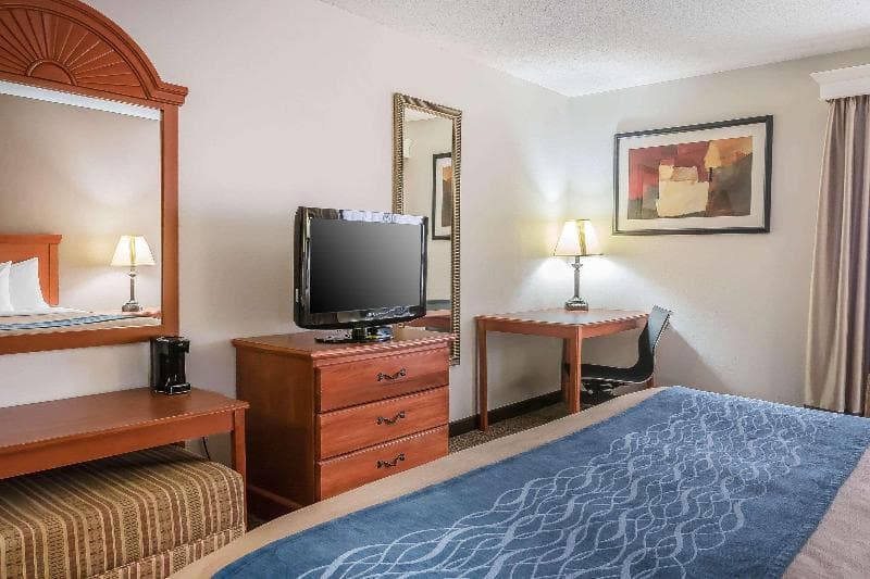 Comfort Inn Kalamazoo Area 5