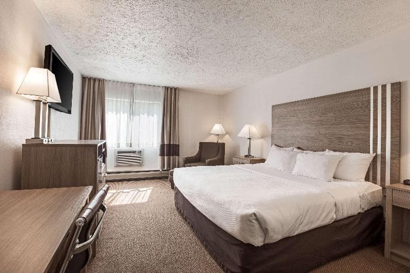 Quality Inn 4