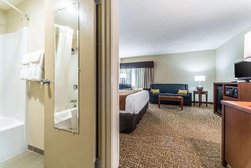 Comfort Inn 4