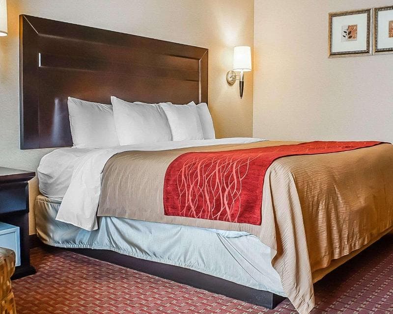 Quality Inn & Suites Roswell 3