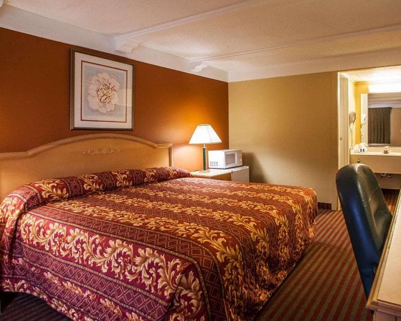 Rodeway Inn 5