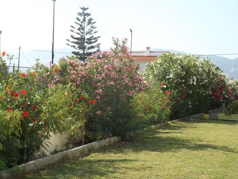 Leonidas Hotel & Studios 2