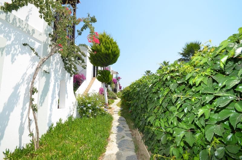 Salinas Beach Hotel Bodrum 3