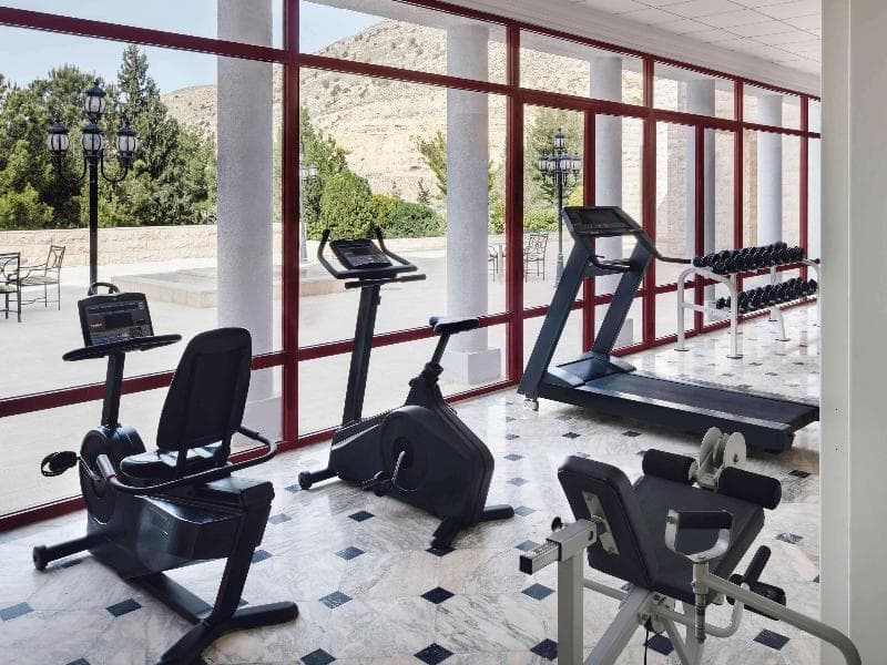 Grand Mercure Petra 2