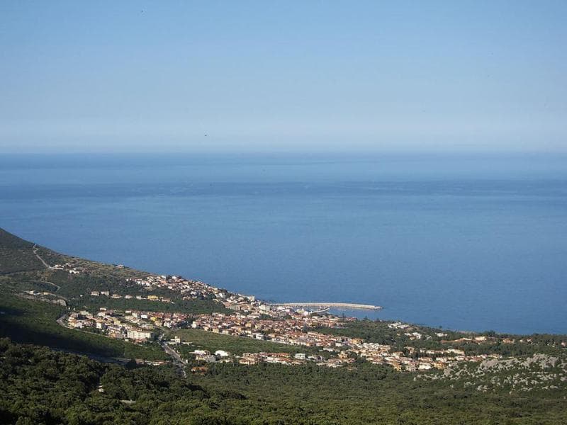 Il Nuovo Gabbiano 2