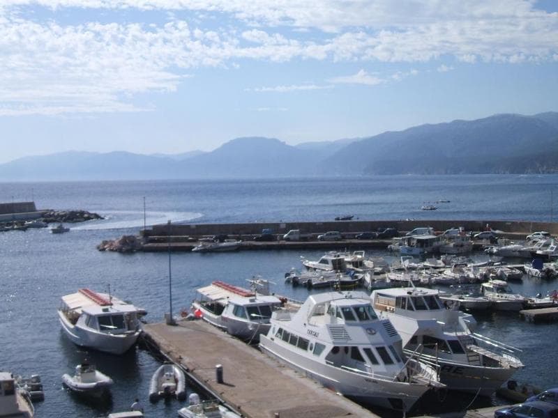 Il Nuovo Gabbiano 4
