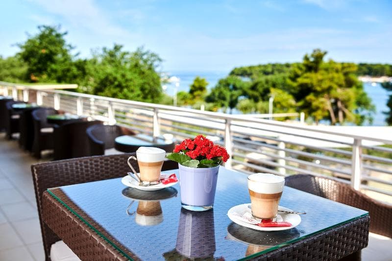 Hotel Molindrio Plava Laguna photo 1