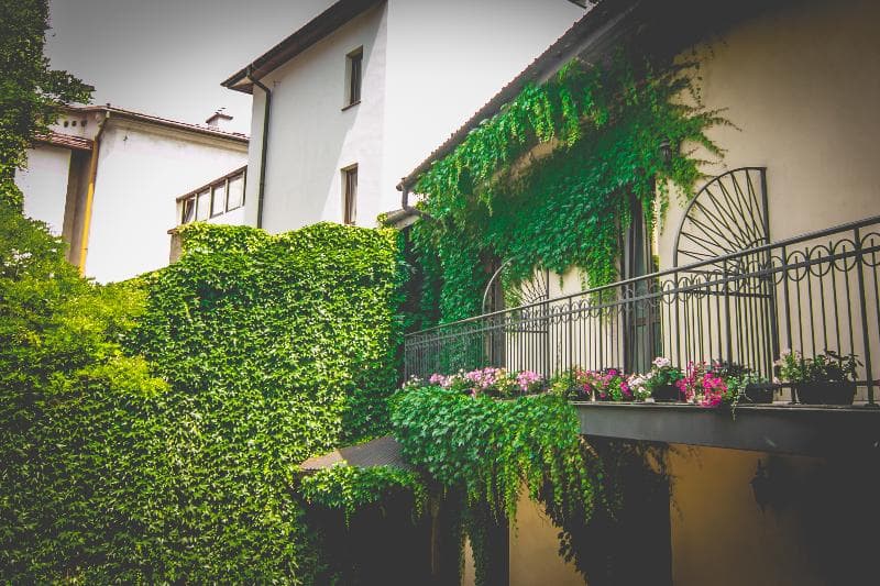 Hotel Nobilton 4