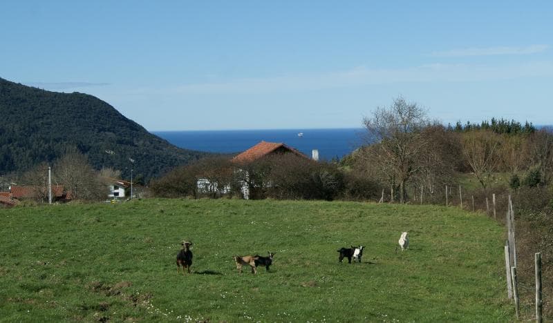 Casa Rural Arboliz 3