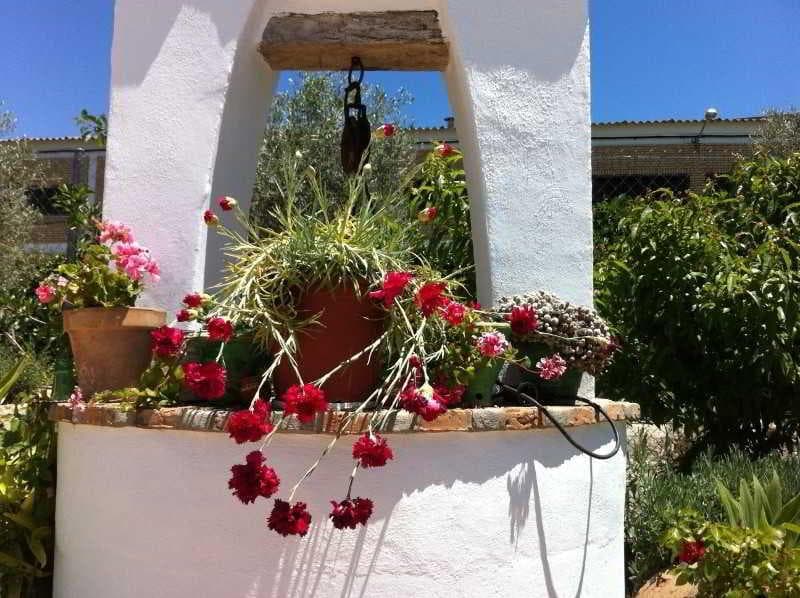 El Molino photo 1