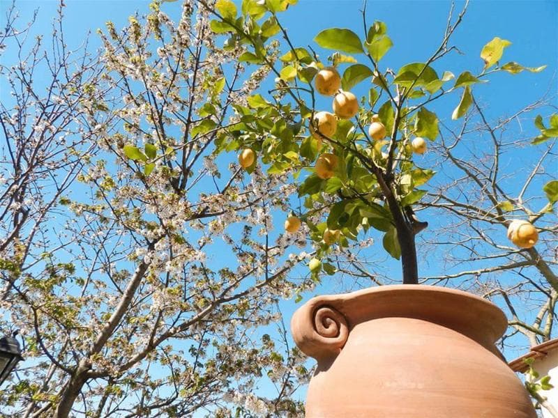 Bacio del Sole B&B 5