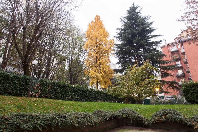 iH Aparthotel Milano Argonne Park 4
