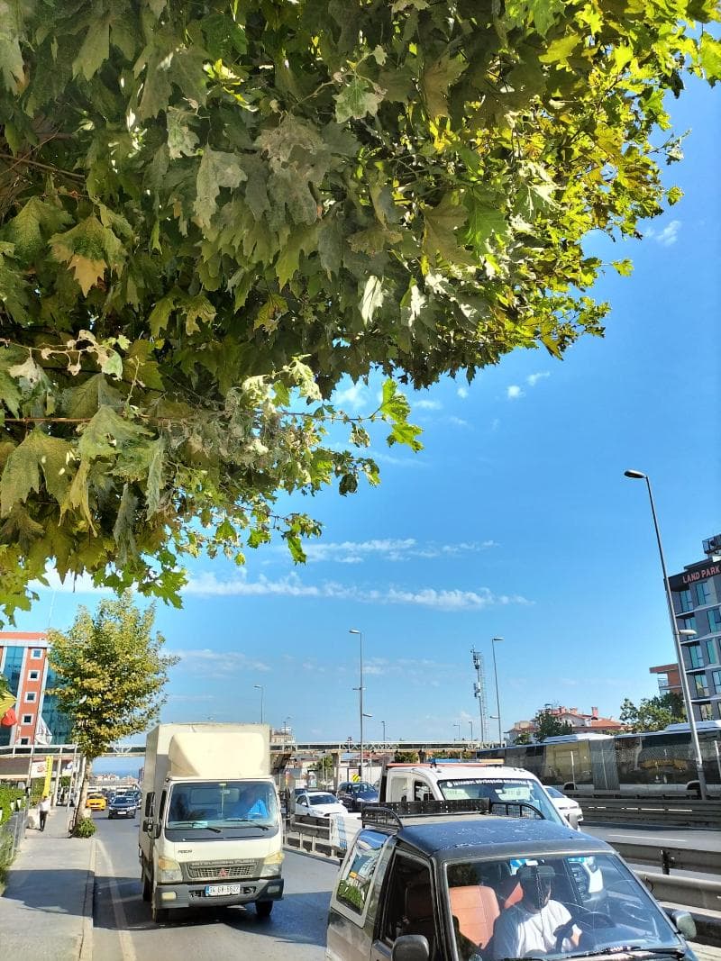 Istanbul Dedem Hotel-Avcilar 5