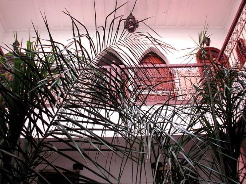 Riad Laora 2