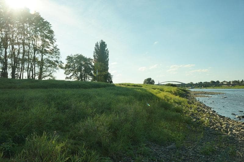 Villa Herzog photo 1