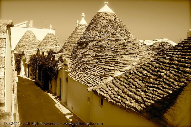 Trulli e Puglia photo 1