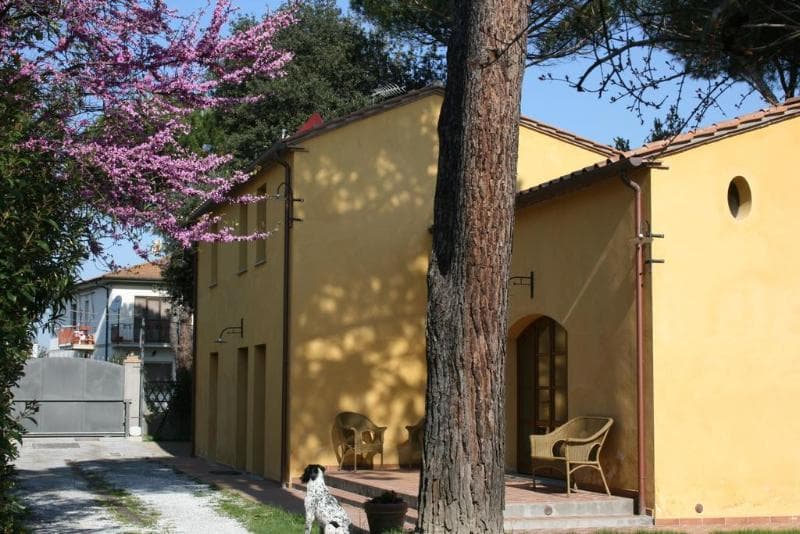 Pisa Holidays Bed & Breakfast (Adults only) main