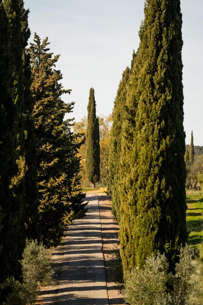 Il Pelagone Hotel & Golf Resort 5