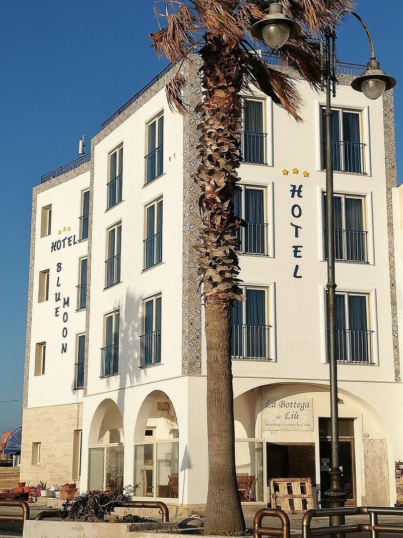 Blue Moon Hotel 5