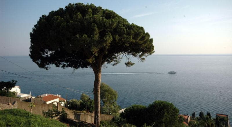 Hotel Il Pino 5