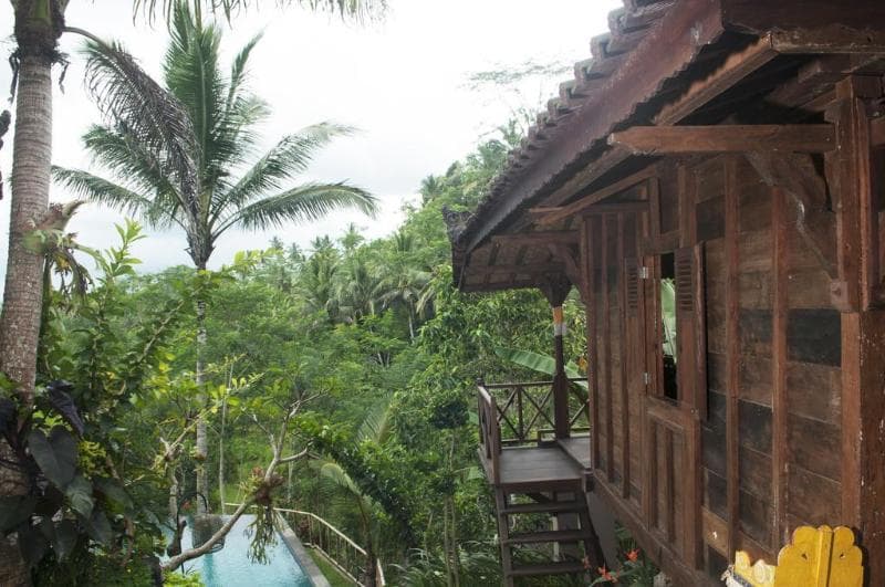 DD Ubud Jungle Villa photo 1