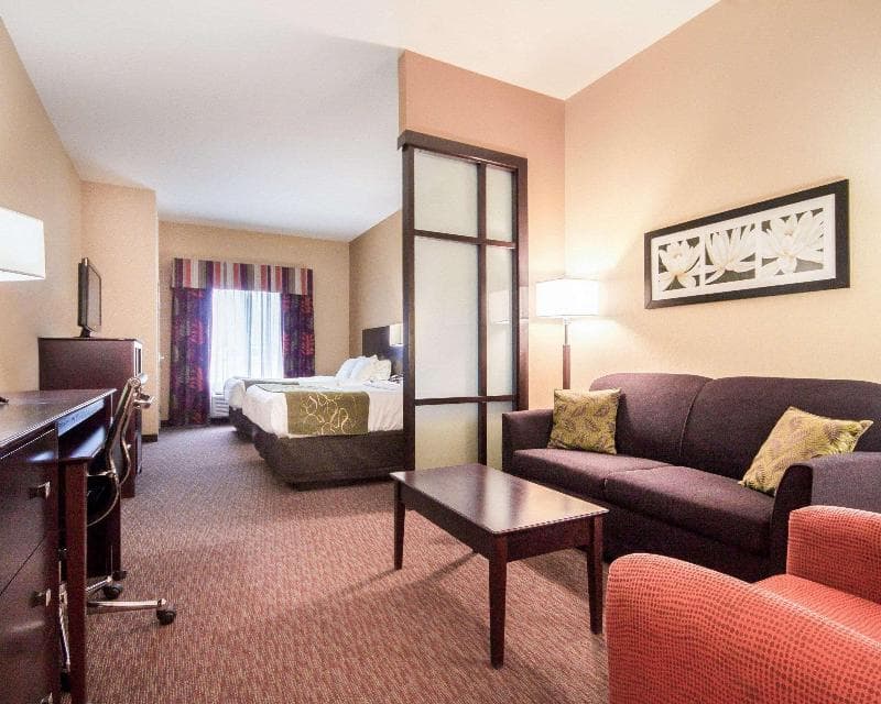 Comfort Suites Pecos 4