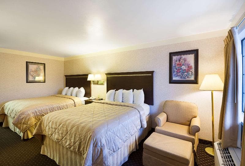 Quality Inn Near Medical Center 3