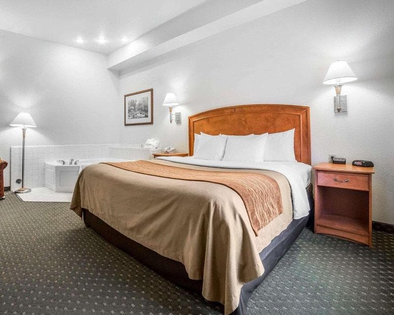 Comfort Inn & Suites 4