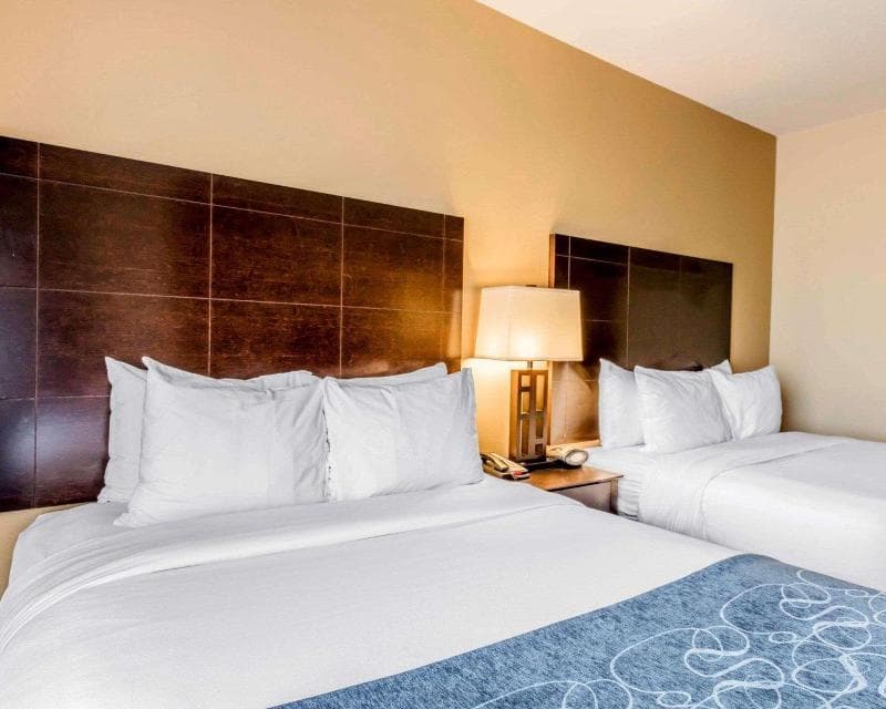 Comfort Suites Pell City 2