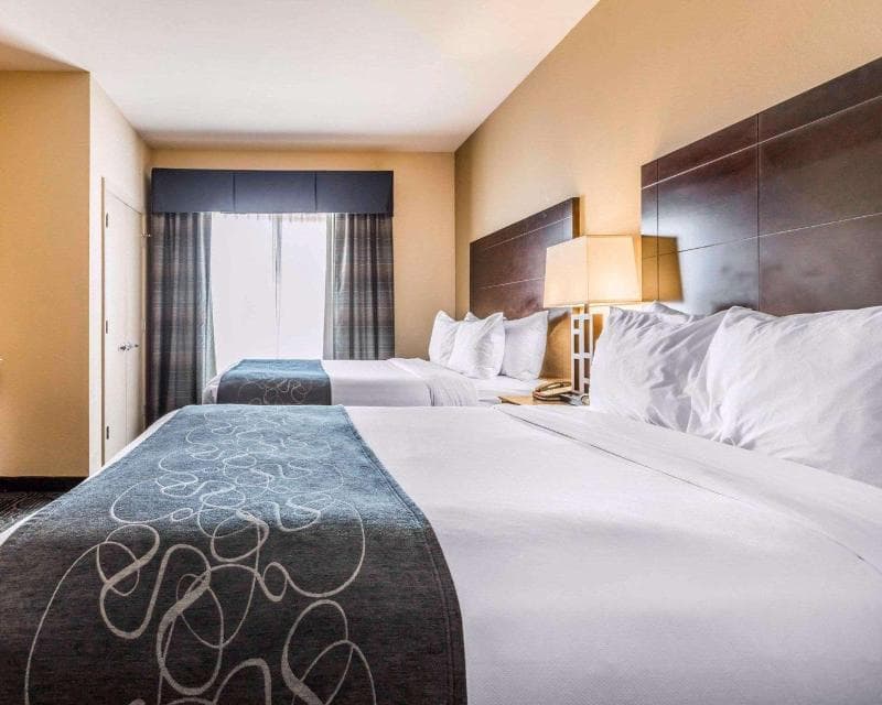 Comfort Suites Pell City 4