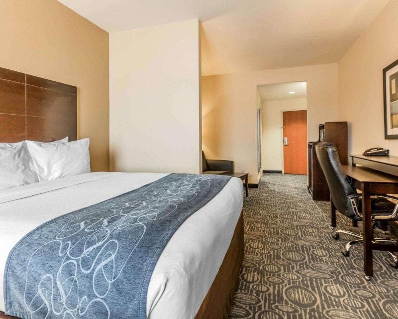 Comfort Suites Pell City 5