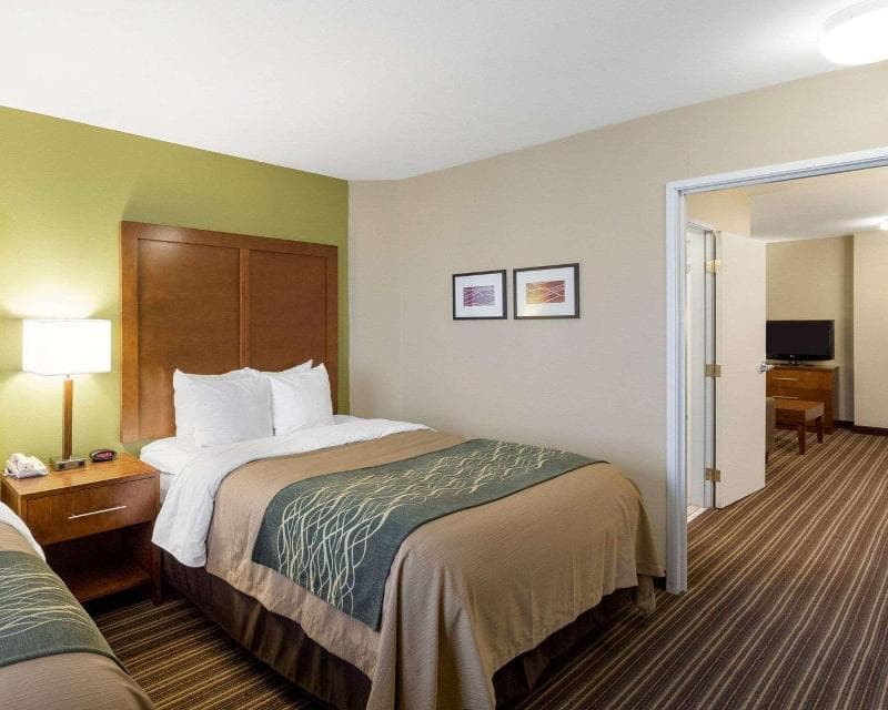 Comfort Inn & Suites 5